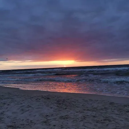 Appartement Comfortable 2-level Close To The