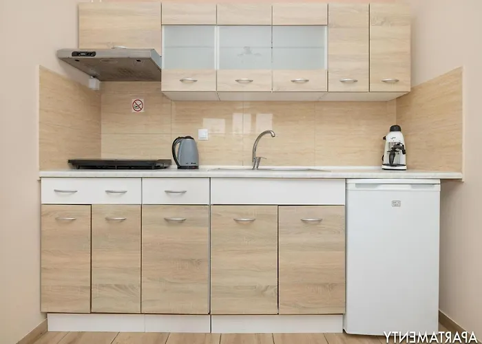 Apartman Comfortable 2-level Close To The